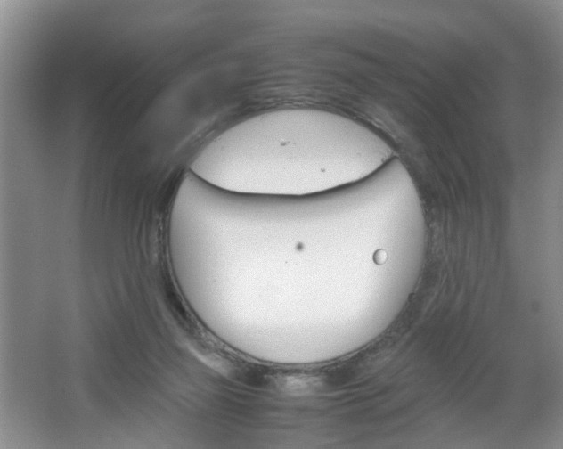 X0000067460165200604070936