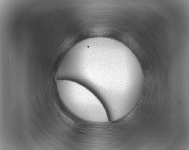 X0000067460166200604070936