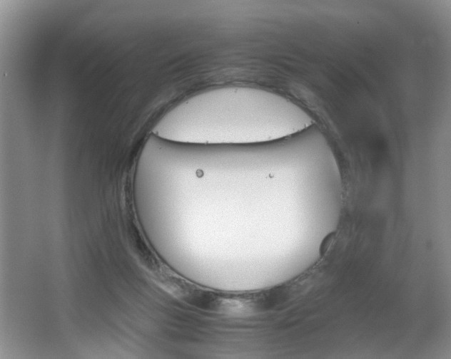 X0000067460167200604070936