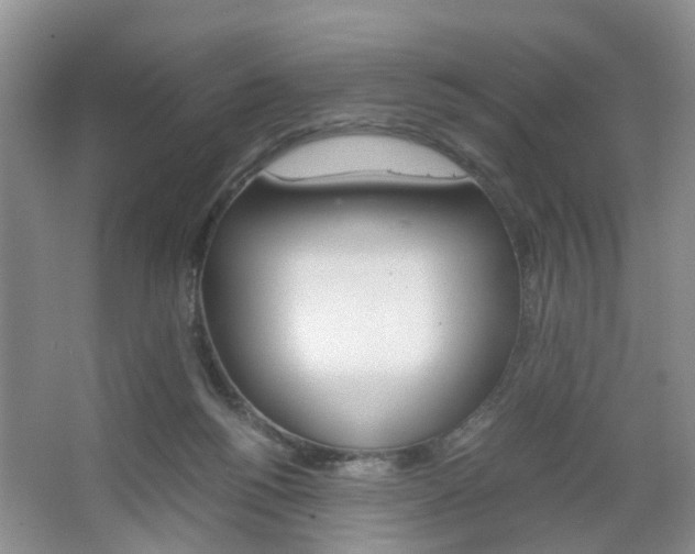 X0000067460168200604070936