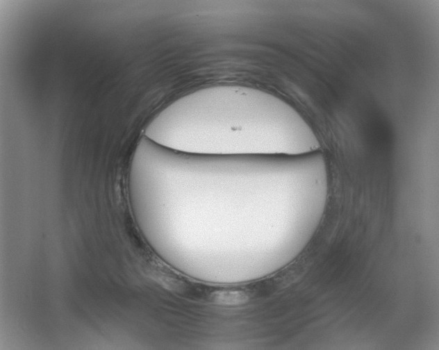 X0000067460169200604070936