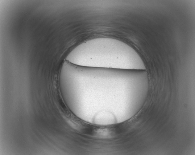 X0000067460171200604070936