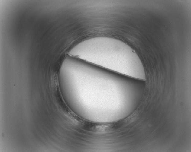 X0000067460172200604070936