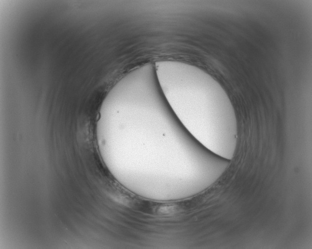 X0000067460173200604070936