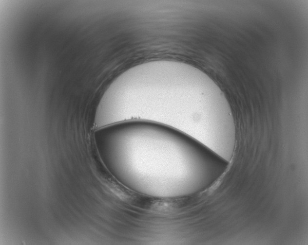 X0000067460174200604070936