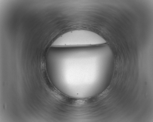 X0000067460176200604070936