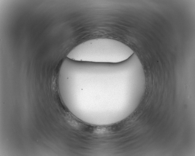 X0000067460177200604070936