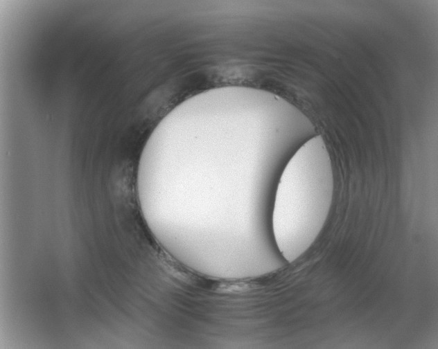 X0000067460181200604070936