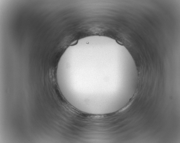 X0000067460182200604070936