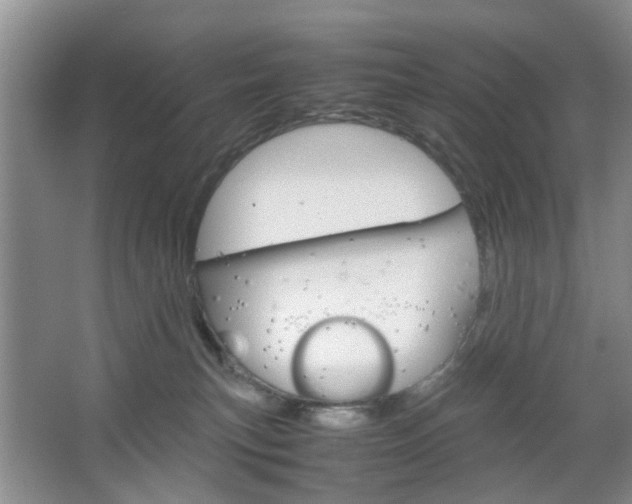 X0000067460183200604070936