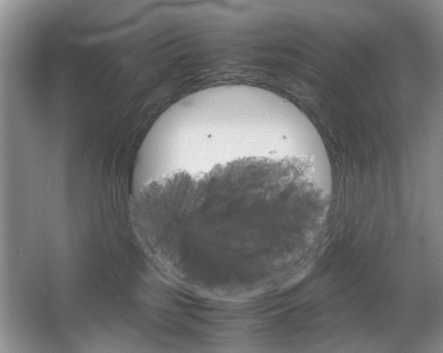 X0000067460185200604070936