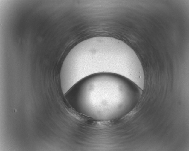 X0000067460188200604070936