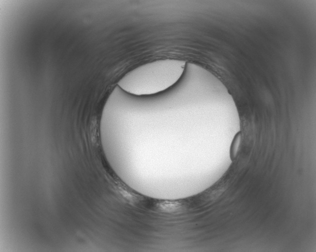 X0000067460189200604070936