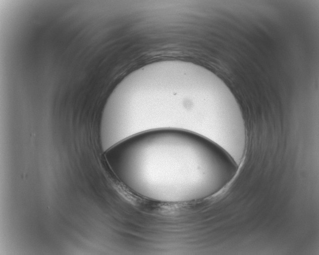 X0000067460190200604070936