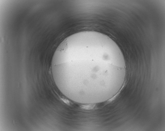 X0000067460191200604070936