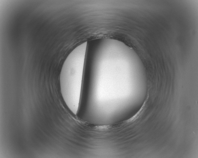 X0000067460192200604070936