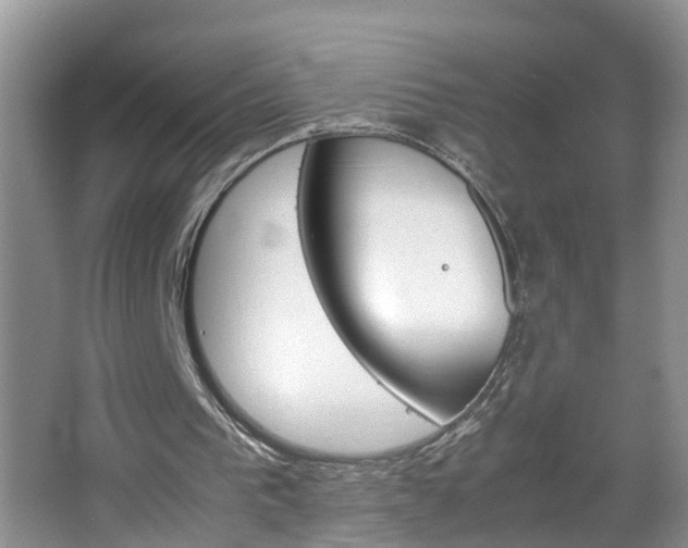 X0000067460193200604070935