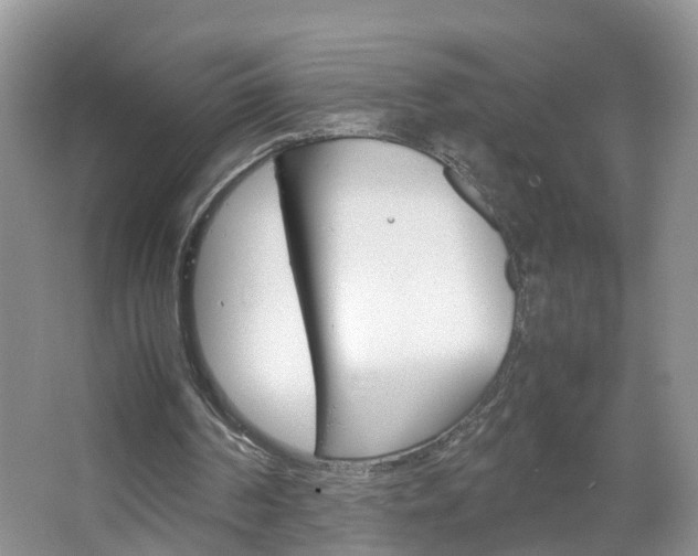 X0000067460194200604070935