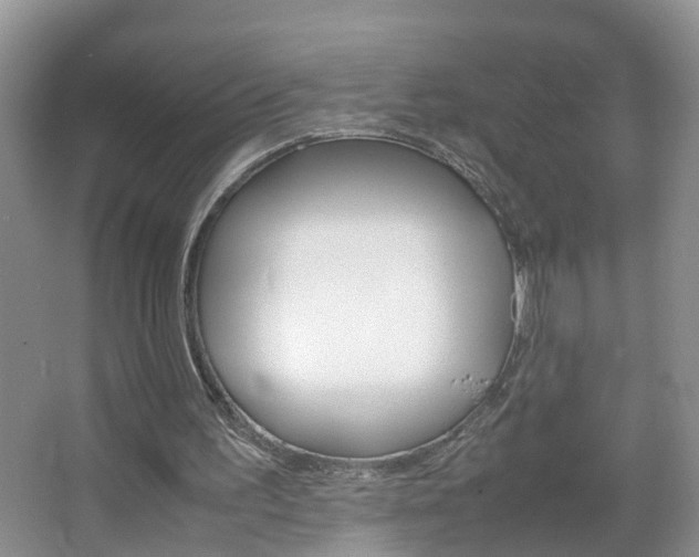 X0000067460195200604070935