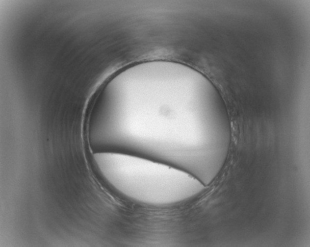 X0000067460196200604070935