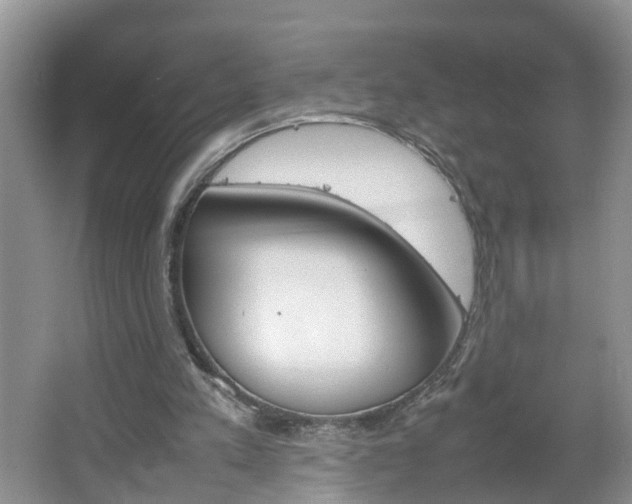 X0000067460197200604070935