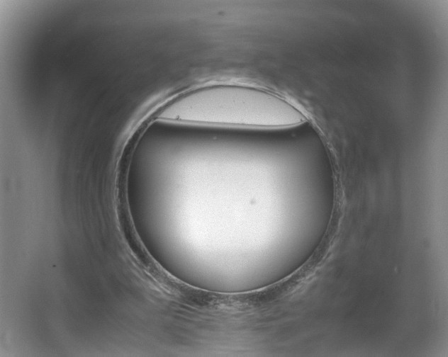 X0000067460199200604070935