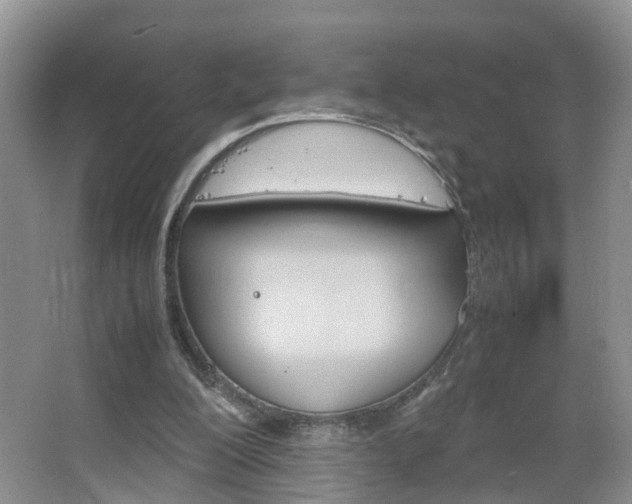 X0000067460200200604070935