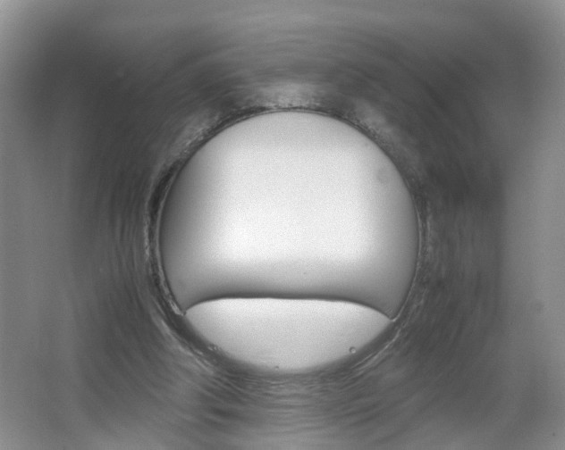 X0000067460202200604070935