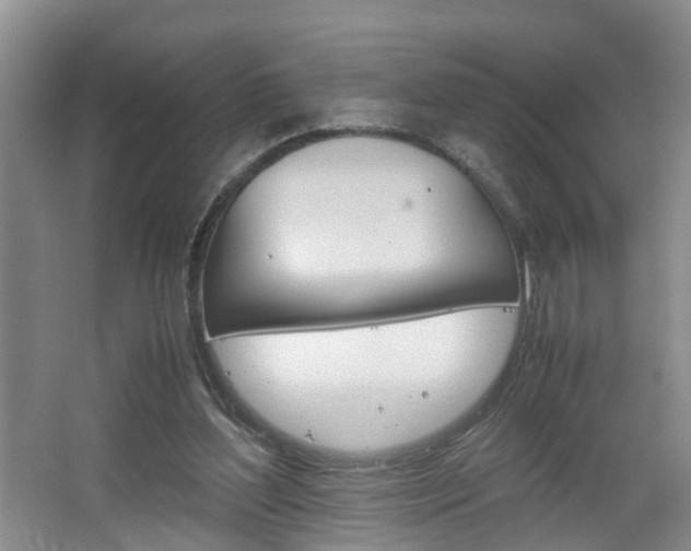 X0000067460204200604070935