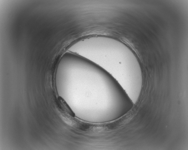 X0000067460205200604070935