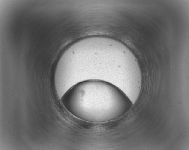 X0000067460207200604070935