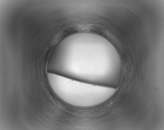 X0000067460209200604070935