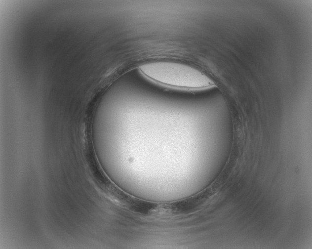 X0000067460211200604070935