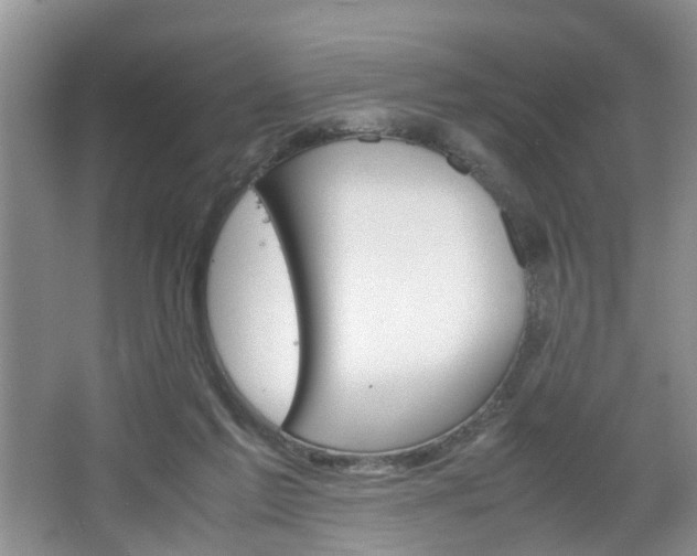 X0000067460213200604070935