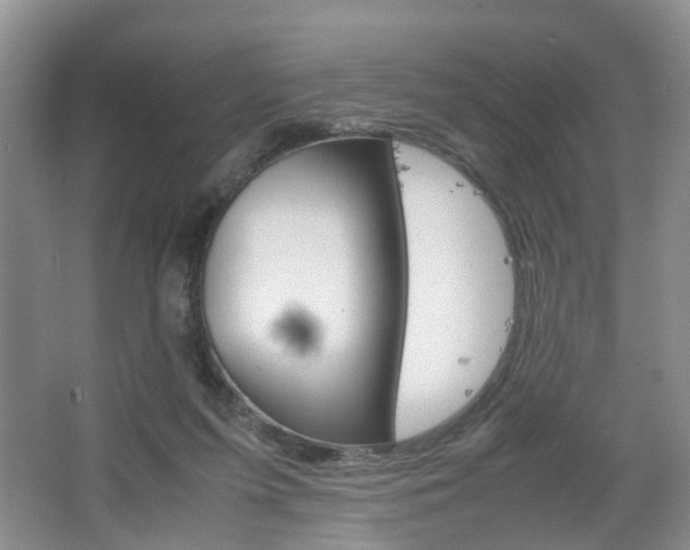 X0000067460215200604070935