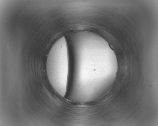 X0000067460216200604070935