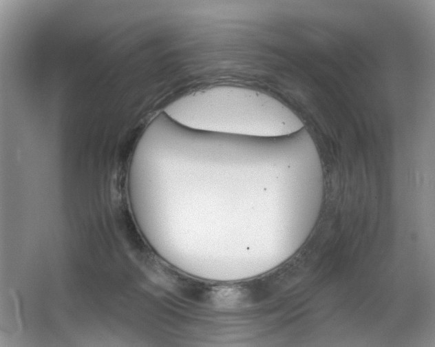 X0000067460218200604070935