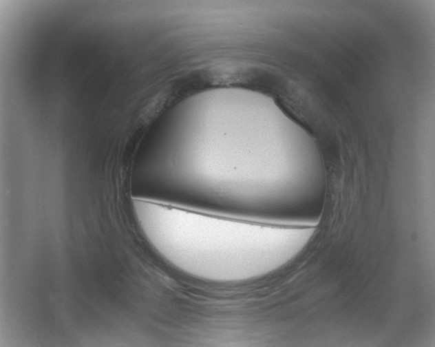 X0000067460219200604070935