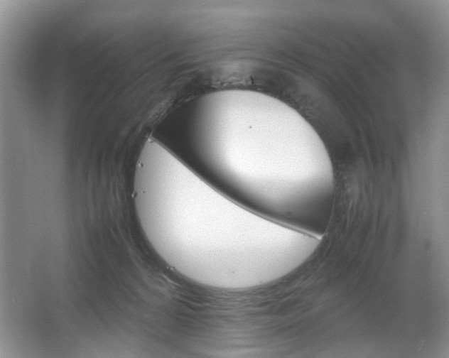 X0000067460224200604070935