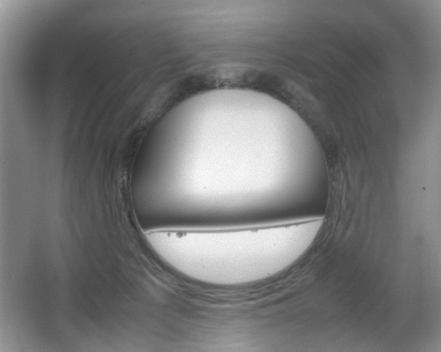 X0000067460225200604070935