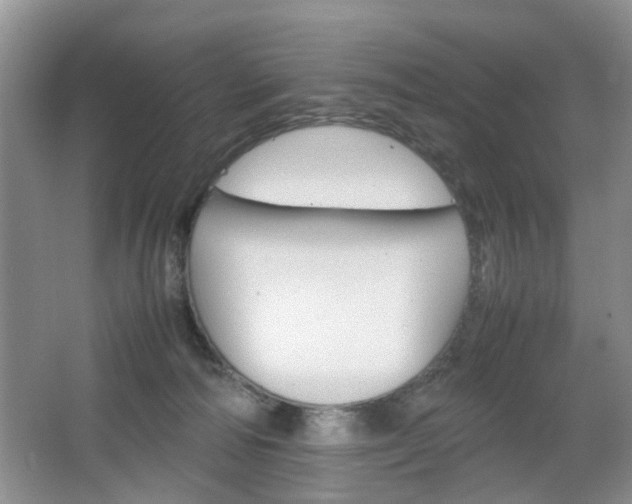 X0000067460226200604070935