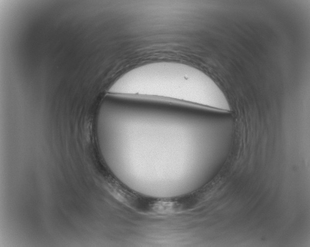 X0000067460227200604070935