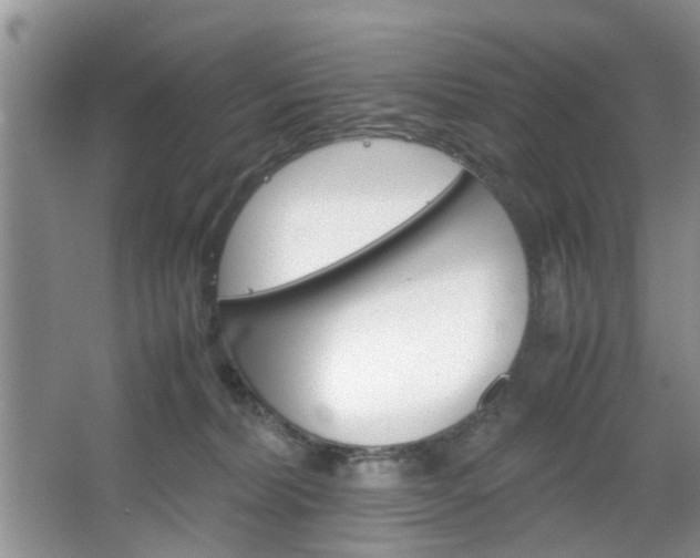 X0000067460228200604070935