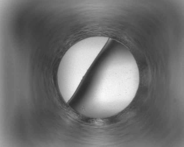 X0000067460229200604070935