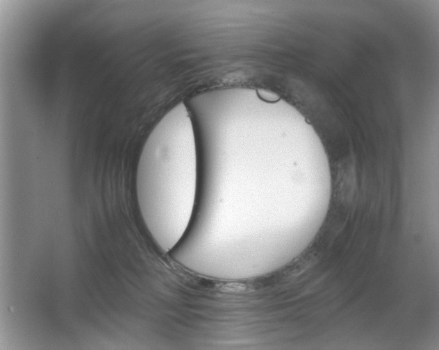 X0000067460230200604070935