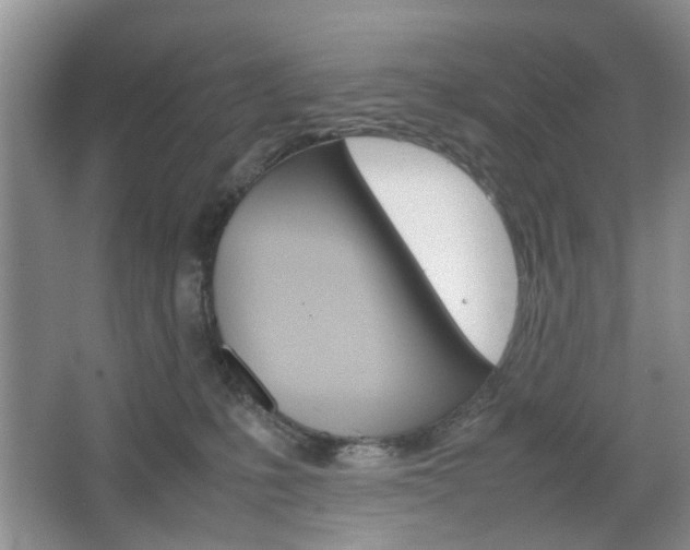 X0000067460231200604070935