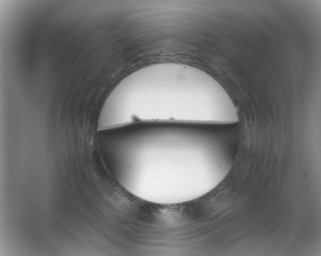 X0000067460232200604070935