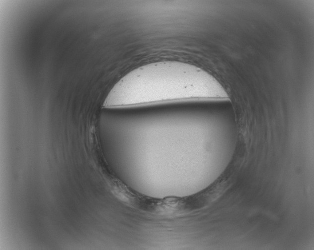 X0000067460235200604070935