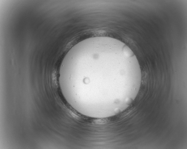 X0000067460238200604070935