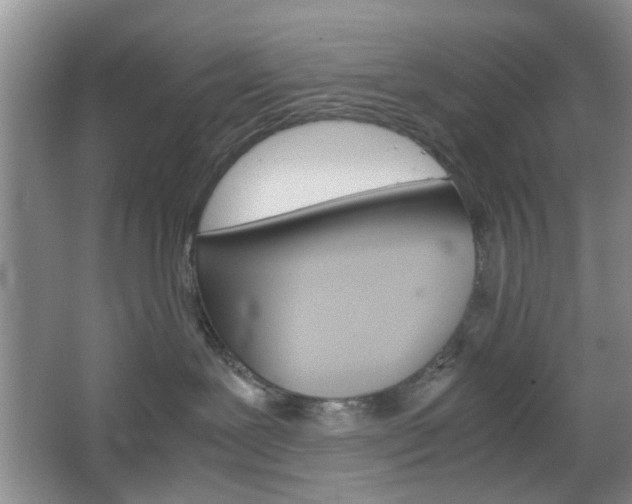 X0000067460239200604070935